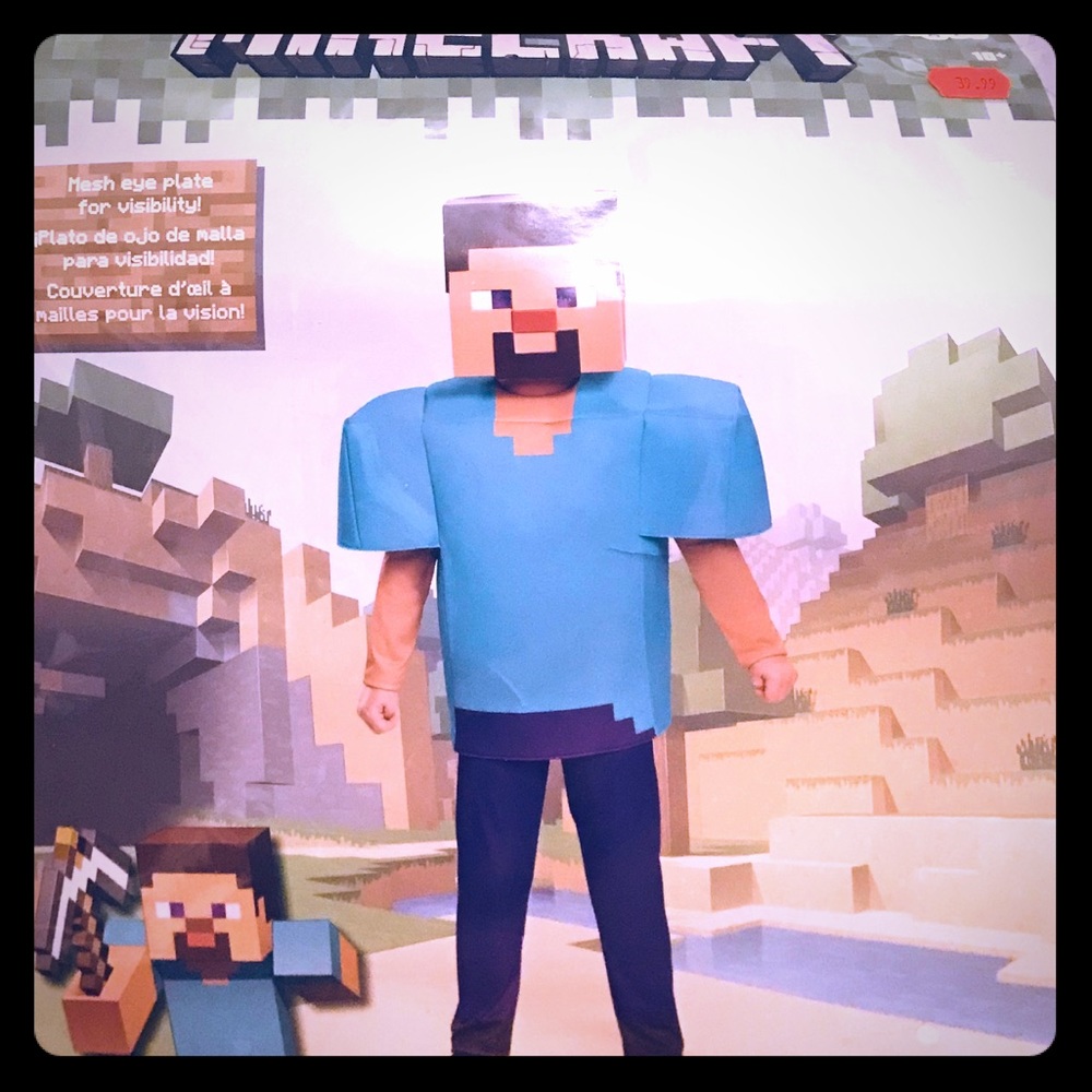 Minecraft (Steve Costume).